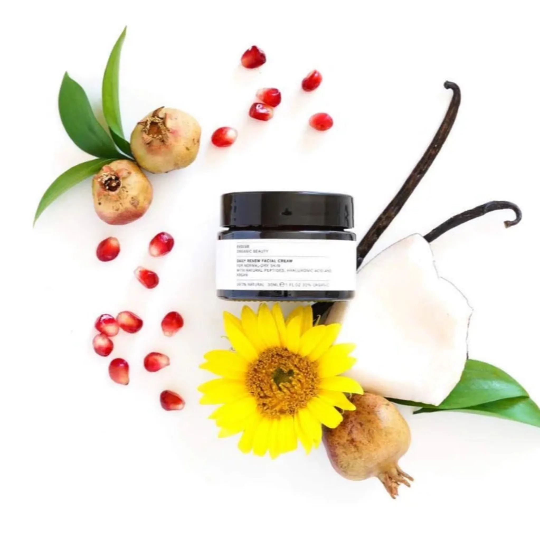 Daily Renew Facial Cream - Evolve Organic Beauty