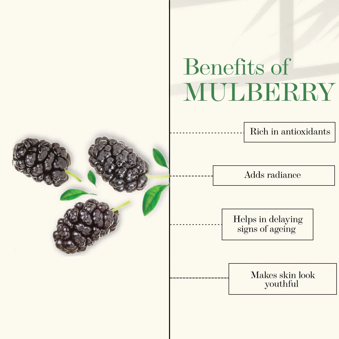 Mulberry Glow Toner